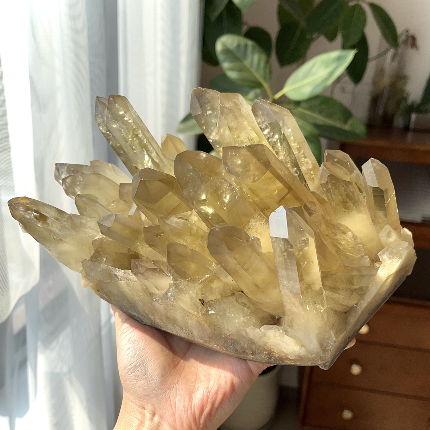 天然茶黄水晶晶簇摆件