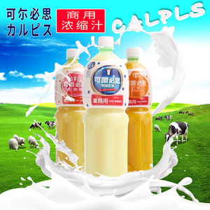 临期促销 可尔必思浓缩液1.5L发酵型优酸乳苏打汽水可而必思
