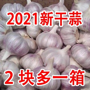 10斤大蒜头干大蒜大蒜蒜头紫白皮大蒜新大蒜干蒜头2斤 新干蒜