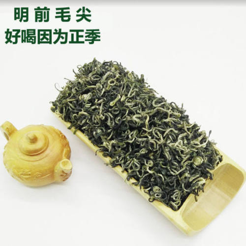 2023明前茶新茶春茶五指峰云雾上