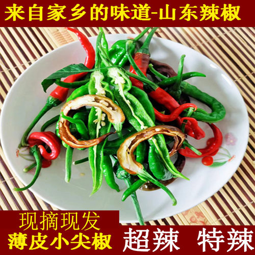 枣庄薄皮辣椒新鲜特辣现