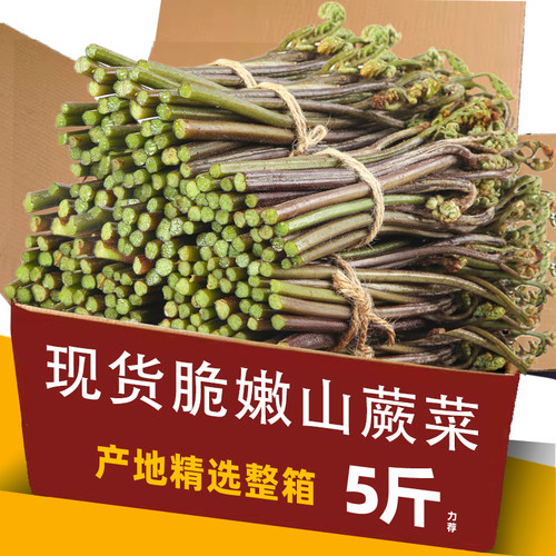现货湖南蕨菜新鲜5斤干鱼蔬菜下饭菜当季青厥菜天然野地菜山撅菜 - 封面