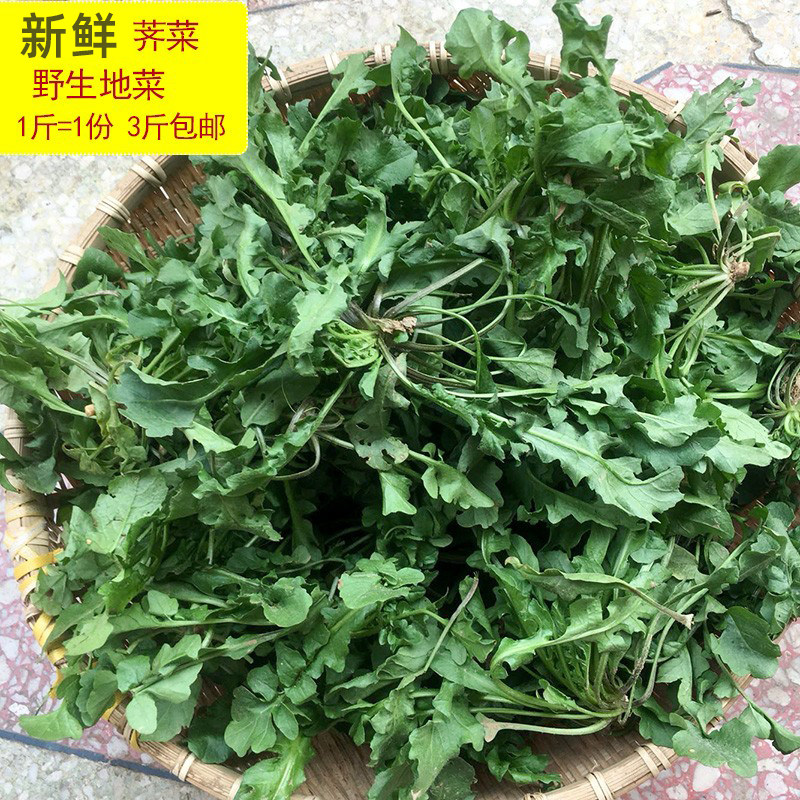 江西赣南种植蔬菜荠菜新鲜野菜荠菜野生地菜齐菜包饺子现挖1斤