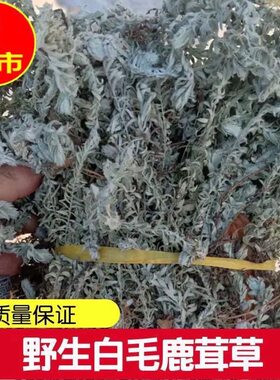 江西无硫鹿茸草六月霜