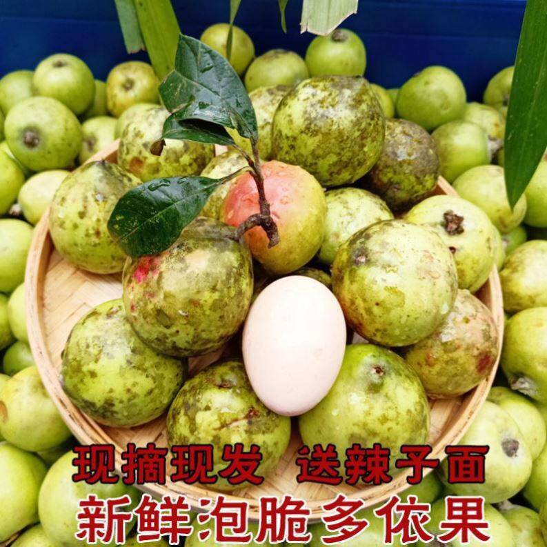 水果稀奇古怪的水果西双版纳的水果特产野果新鲜云南酸多依果奇怪