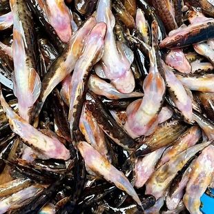 干活火炕鱼石巴子鱼干新鲜爬石鱼小鱼干江西小鱼仔淡水鱼清水鱼