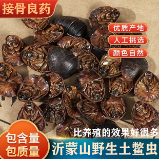 正宗野生土鳖虫中药材 干土元 土鳖虫粉 簸箕虫特级土鳖子地鳖虫
