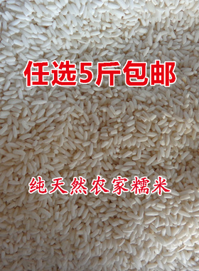 农家白纯糯米乡下自产长粒粘米包棕子五谷杂粮粗粮江米