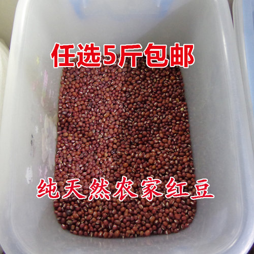 红小豆农家自产女人五谷杂粮小红豆绿色天然优质粗粮