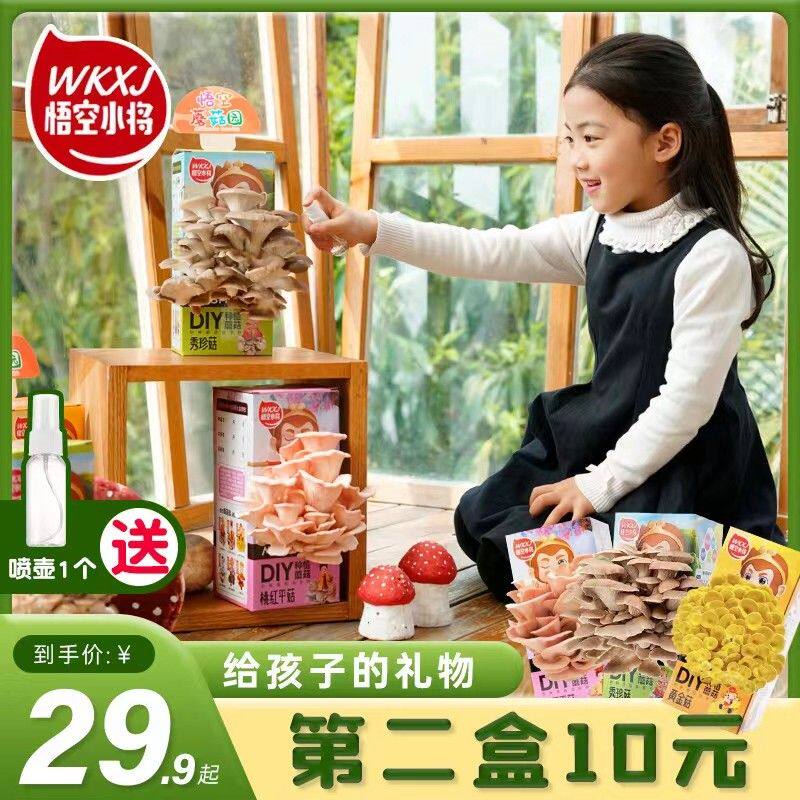 悟空小将【老少皆宜】DIY家庭种植蘑菇菌包蘑菇盒种植1.2KG送喷壶
