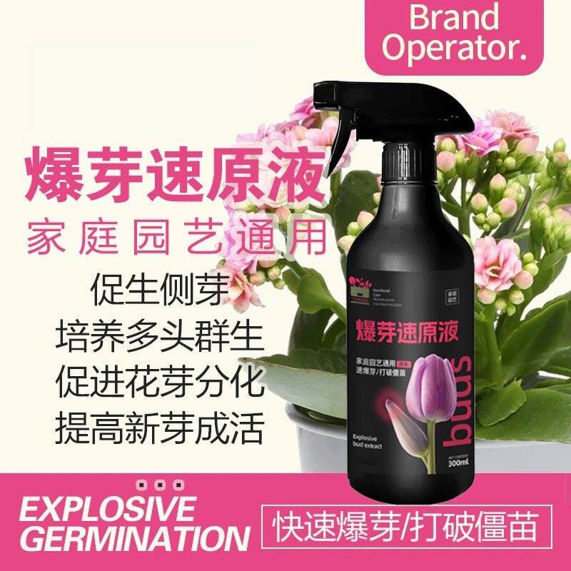 【爆芽速原液】多芽促芽催芽分化叶插花植物花卉绿植三角梅兰花通