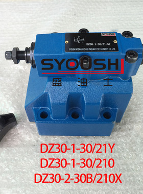 先导式顺序阀DZ30-1-30/21Y,DZ30-1-30/210,DZ30-2-30B/210X现货