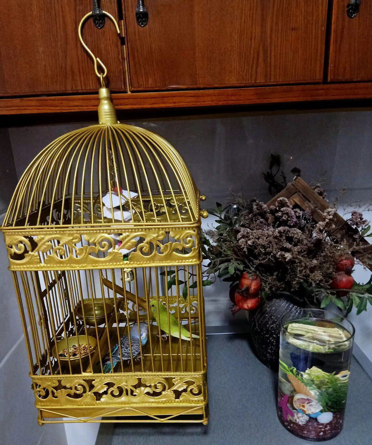 鸟笼鸽子鸟笼圆形型八哥鹦鹉画眉鸟笼
