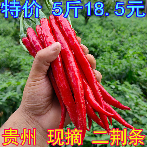 红线椒新鲜 红二荆条 红辣椒红色二金条二斤条贵州特产蔬菜红海椒