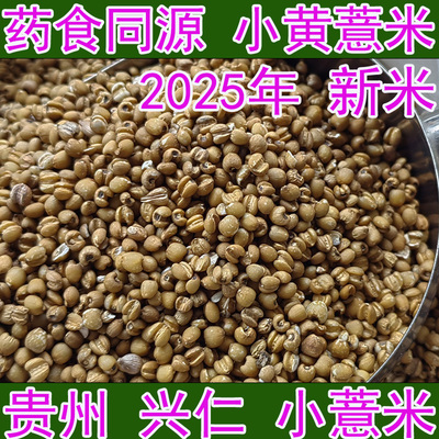 贵州小薏仁米新货 黄米 正宗兴仁小颗粒小薏米仁2025 农家薏苡仁