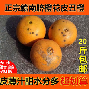 正宗赣州丑橙赣南脐橙丑果榨汁果新鲜现摘江西超甜橙子花皮果包邮