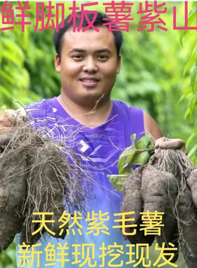新鲜参薯现挖鲜天根脚板薯紫人参紫色山药紫淮山紫大薯5斤毛薯