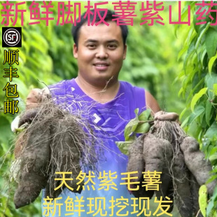 新鲜参薯现挖赣南特产脚板薯紫人参紫色山药紫淮山紫大薯5斤毛薯