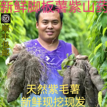 新鲜参薯现挖鲜天根脚板薯紫人参紫色山药紫淮山紫大薯5斤毛薯