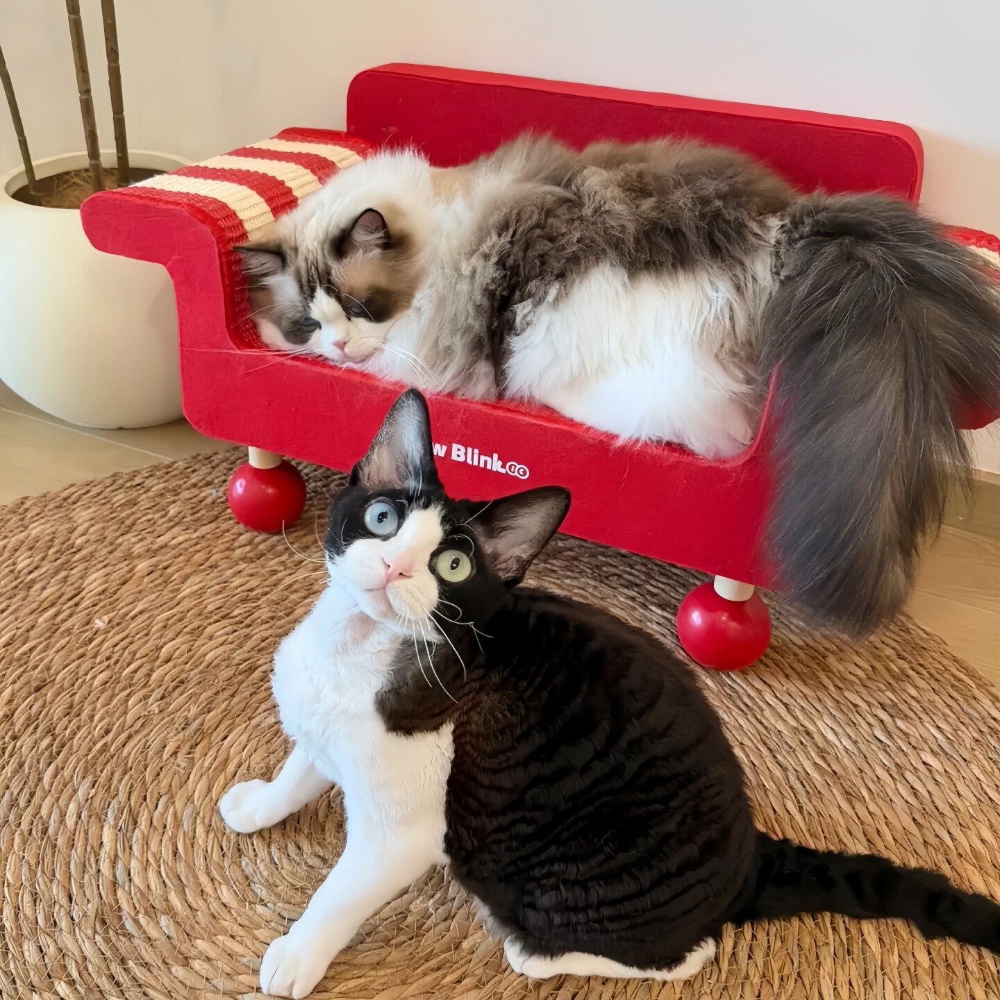 条纹沙发窝剑麻磨爪防掉屑猫抓板