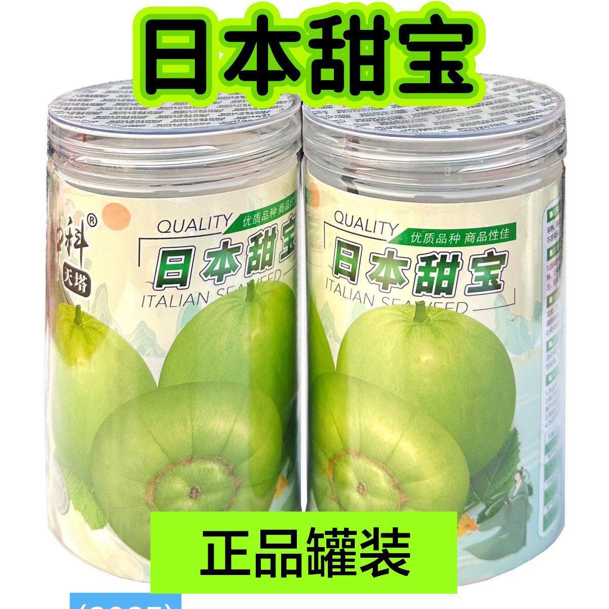 甜宝808F1甜瓜种子薄皮日本甜宝超甜白沙蜜籽四季春播基地用种