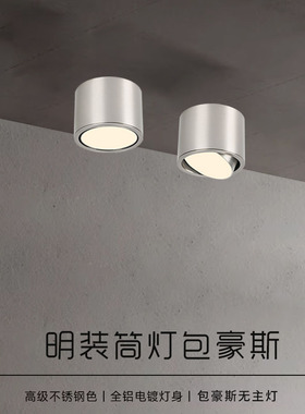 包豪斯明装超薄筒灯可调角中古工业风免开孔不锈钢色无主灯全光谱
