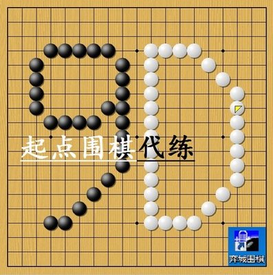 弈城、野狐围棋9D号 5-9段账号(订做保段)会员 职业棋手代练弈币