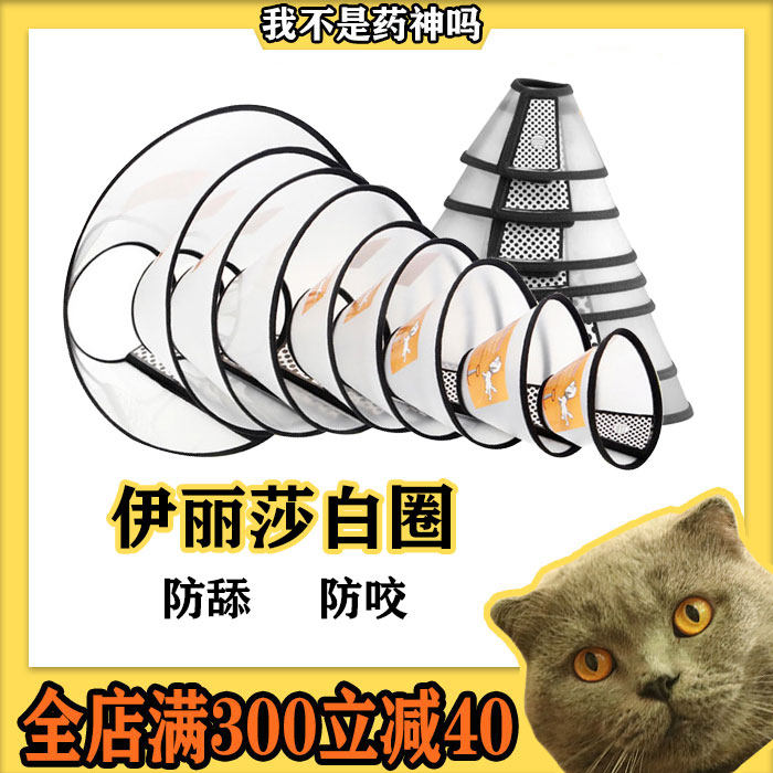 伊丽莎白圈透明常规头圈幼猫咪防咬防舔挠耻辱项圈狗狗宠物脖头套