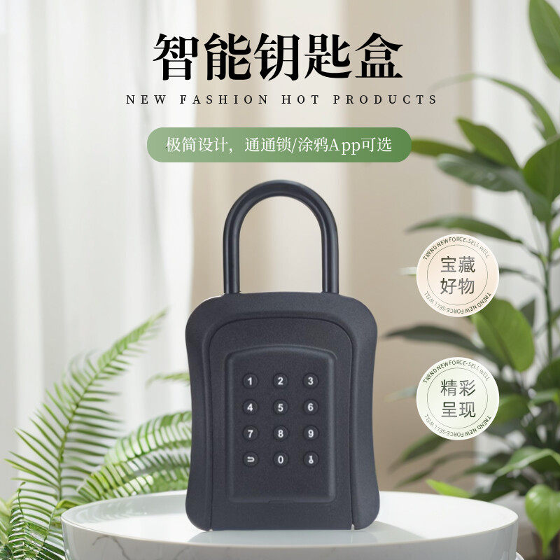 涂鸦通通蓝牙智能密码指纹钥匙盒装修民宿锁盒指纹密码手机开锁盒