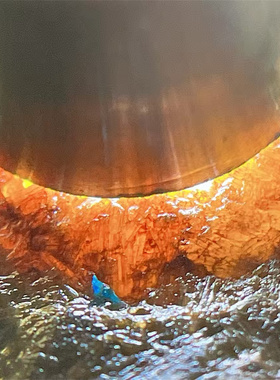 T12338 缅甸天然翡翠原石老坑莫西沙场口手镯料 重2.4公斤