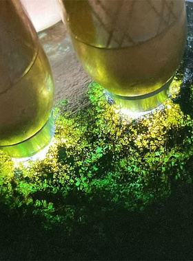 XZ11236 缅甸天然翡翠原石老坑莫西沙场口牌子料 重1.1公斤