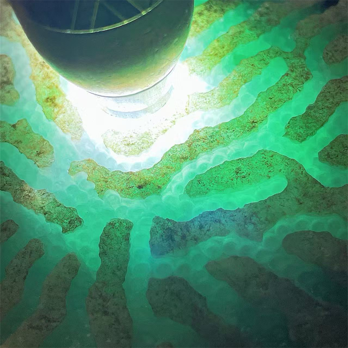 M70154 缅甸天然翡翠原石老坑木那场口开窗手镯料 重7公斤