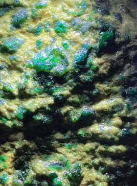 XZ13426 缅甸天然翡翠原石老坑木那场口色料 重1.3公斤