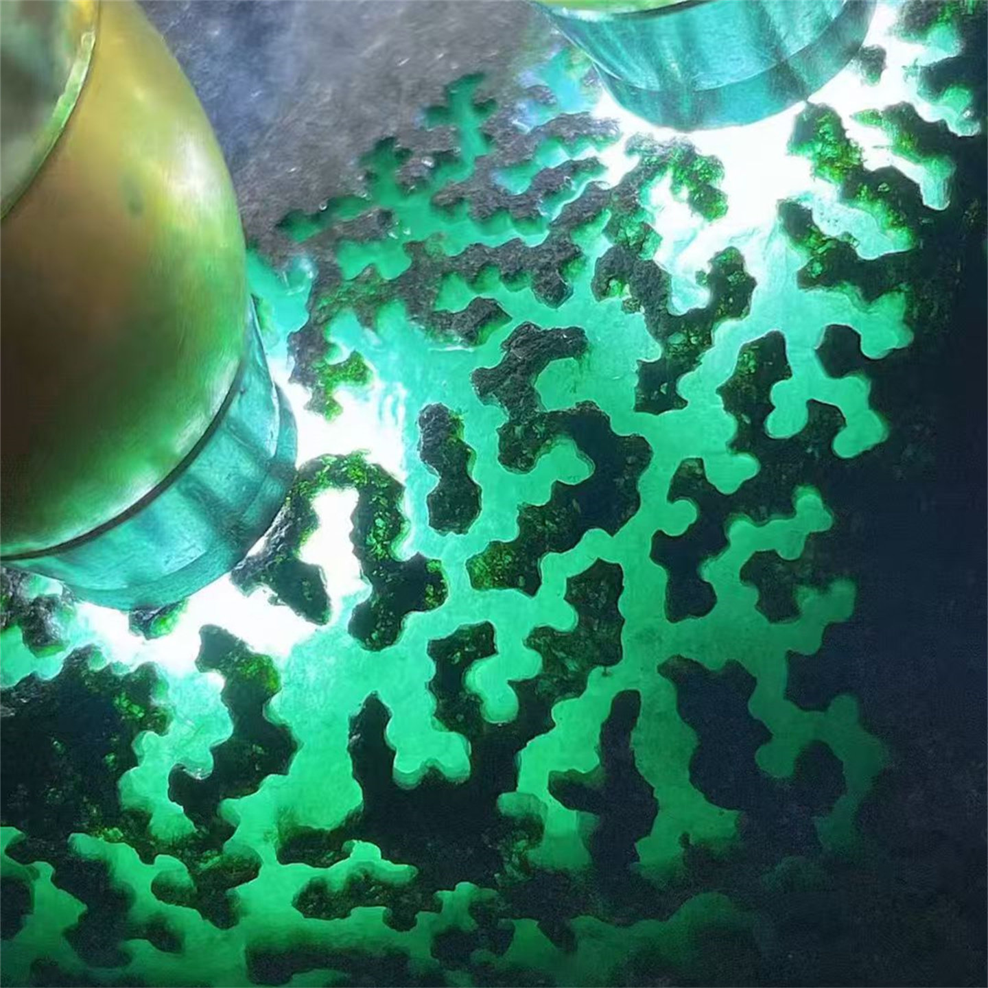 AT80588缅甸天然翡翠原石老坑莫西沙场口开窗精品手镯料重3.2公斤