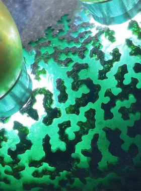 AT80588缅甸天然翡翠原石老坑莫西沙场口开窗精品手镯料重3.2公斤