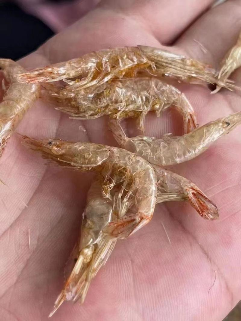 安徽寿县特产瓦埠湖麻虾干虾瓦虾无盐生晒无添加500克