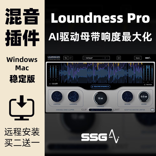 SSGLoudnessPro响度提升插件