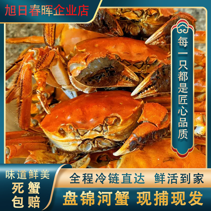 盘锦稻田河蟹全母蟹鲜活美味1.1-1.4两单只装顺丰京东包邮