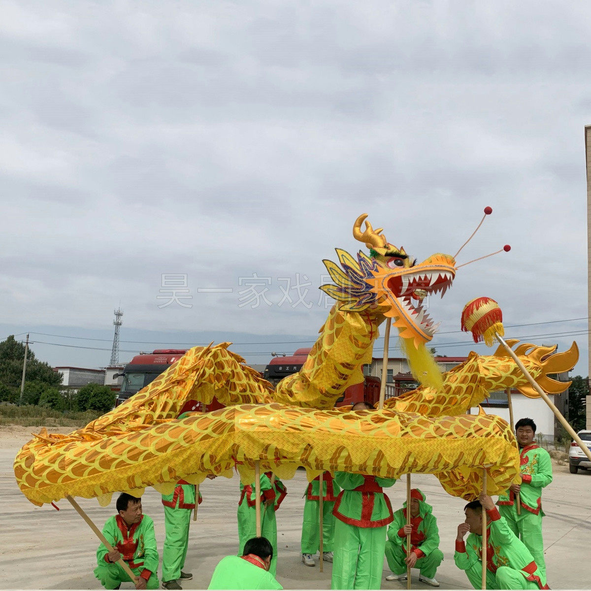 中国舞龙国标竞技比赛舞龙灯烫金舞龙衣服装红社火演出道具全整套