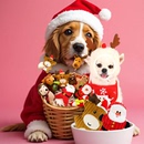 边牧中小狗圣诞聚会生日装 饰帽子口水巾泰迪磨牙解闷狗狗发声玩具