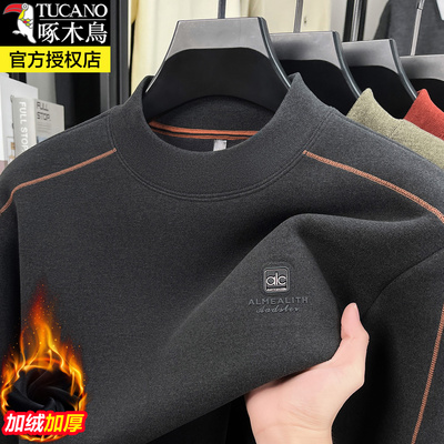 啄木鸟秋冬季新款加绒加厚毛衣男