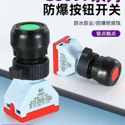 G8097银点防爆防腐塑料按钮开关自复位红绿开孔30mm常开常闭16A