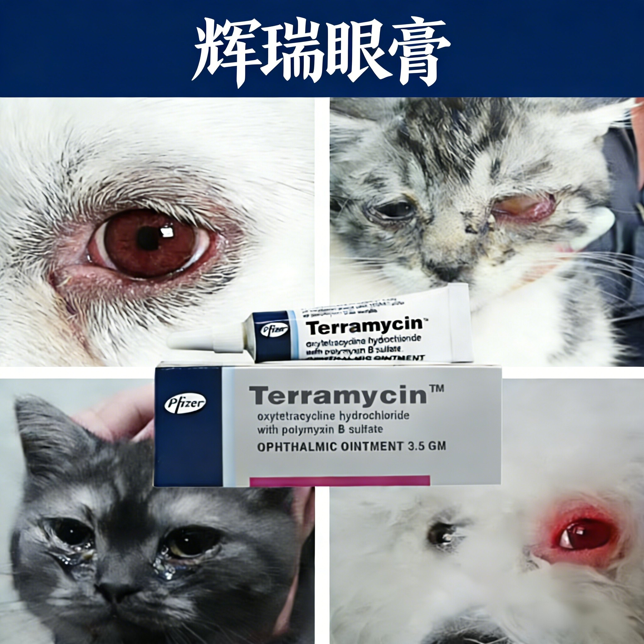 美国辉瑞眼膏猫咪狗狗宠物眼药膏Terramycin辉瑞3.5g舒酶捷眼膏