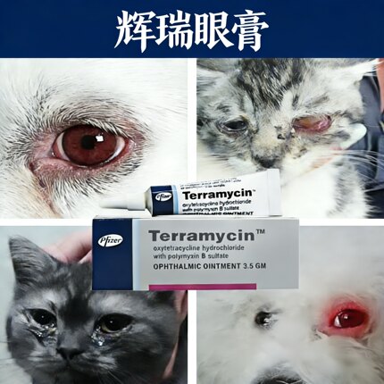美国辉瑞眼膏猫咪狗狗宠物眼药膏Terramycin辉瑞3.5g舒酶捷眼膏
