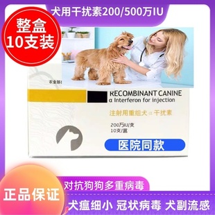 中狗科犬用重组干扰素200/500细小犬瘟热冠状细小10支整盒装