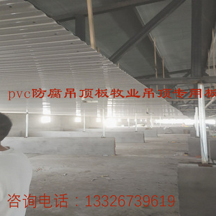 猪场吊顶瓦板pvc塑料瓦加厚养殖场吊顶板防腐板隔热耐酸车间吊顶