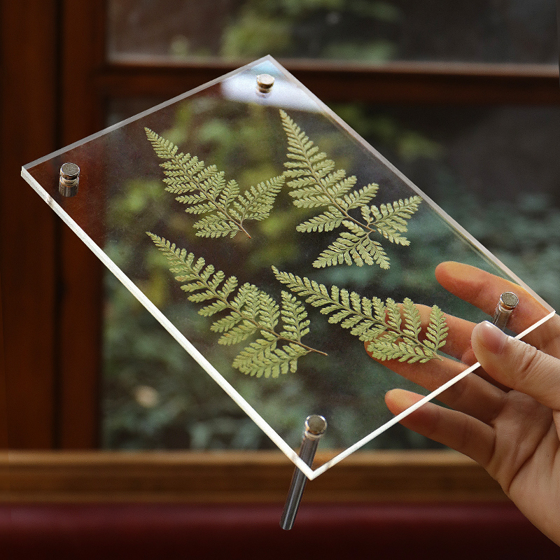 亚克力相框diy植物落叶标本装裱