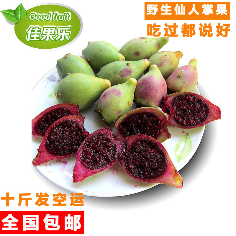 9年老店精选大果净10斤礼盒 海南三亚新鲜水果野生仙人掌果食用