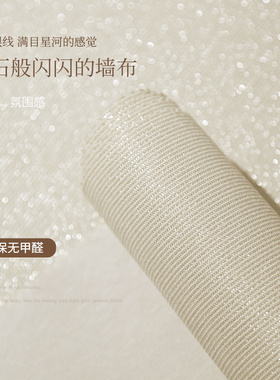 2025新款轻奢钻石无缝墙布现代简约客厅卧室背景墙高端全屋壁布