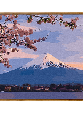 定制diy数字油画风景填充减压
